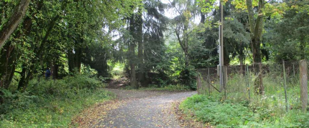 Shaded part of the path on Gary L. Haller bike path. 