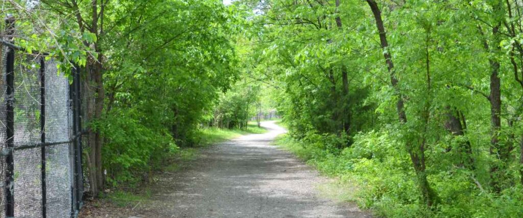 Shaded bike path with overgrown trees covering the path on the Blue River Rail Trail in KS.