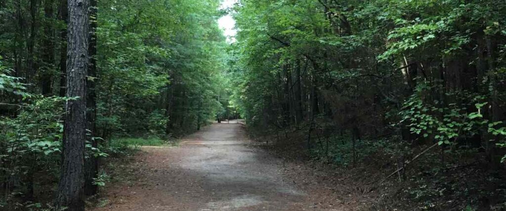 The South Campus Rail Trail on the right-of-way of the Mississippi Central Railroad in Oxford, Mississippi