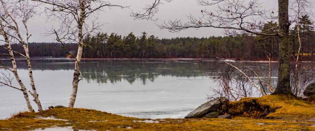 The Waverly Park pond during the summer months with light snow. 