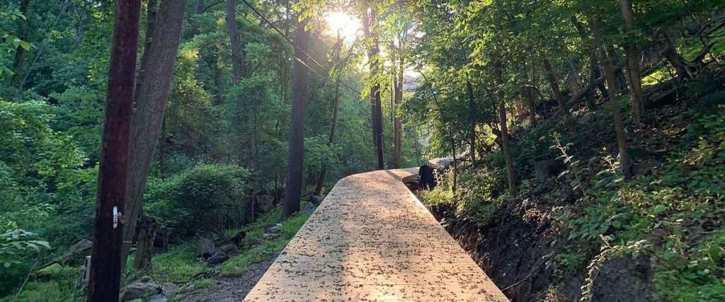 A sunrise scene on the Jones Falls Trail prior to completion.