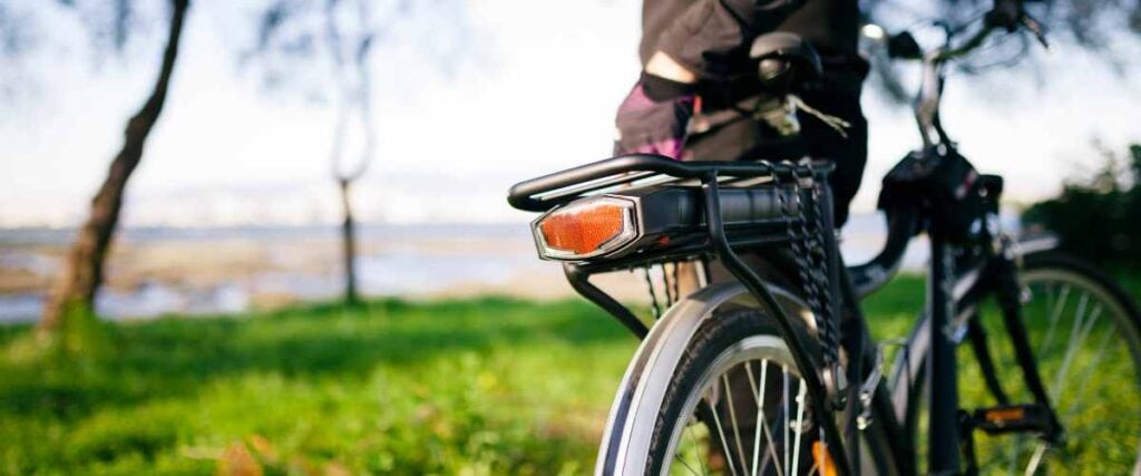 A person in a park with a bike ready to sell. 