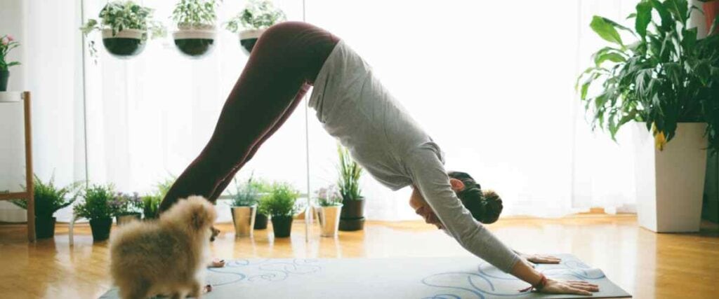 A woman doing yoga in her living room with her dog walking on her yoga mat looking for attention. 