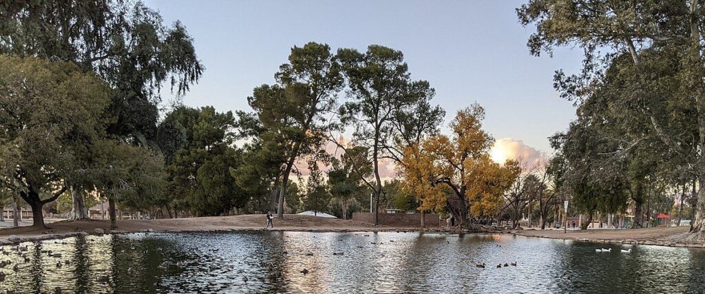 View of the duck pond at Reid Park. 