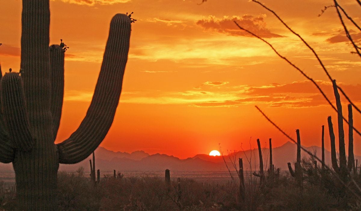 View of Tucson, AZ sunset. 