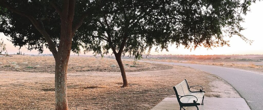 Lewis S. Eaton trail during sunset with view of the park bench and trail. 