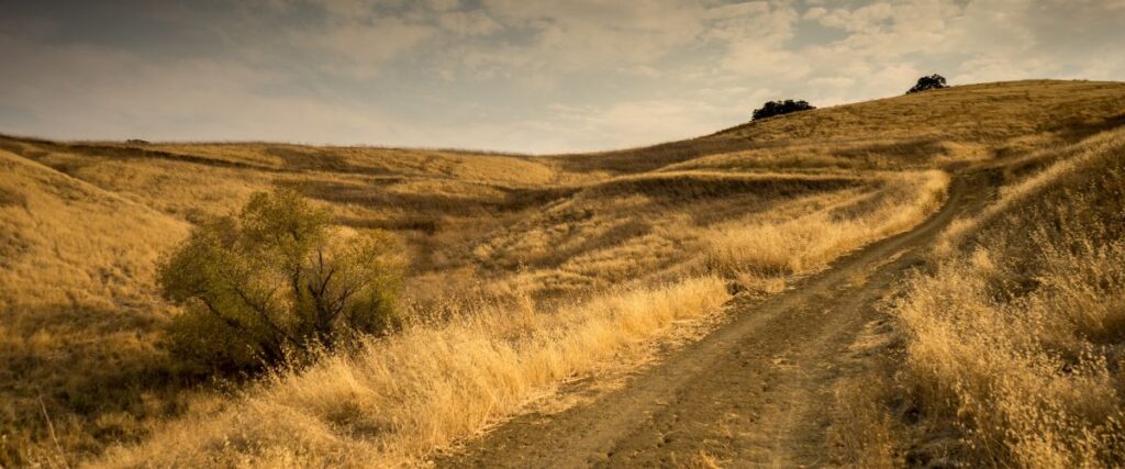 Tesoro Viejo Trails in Fresno, California. 