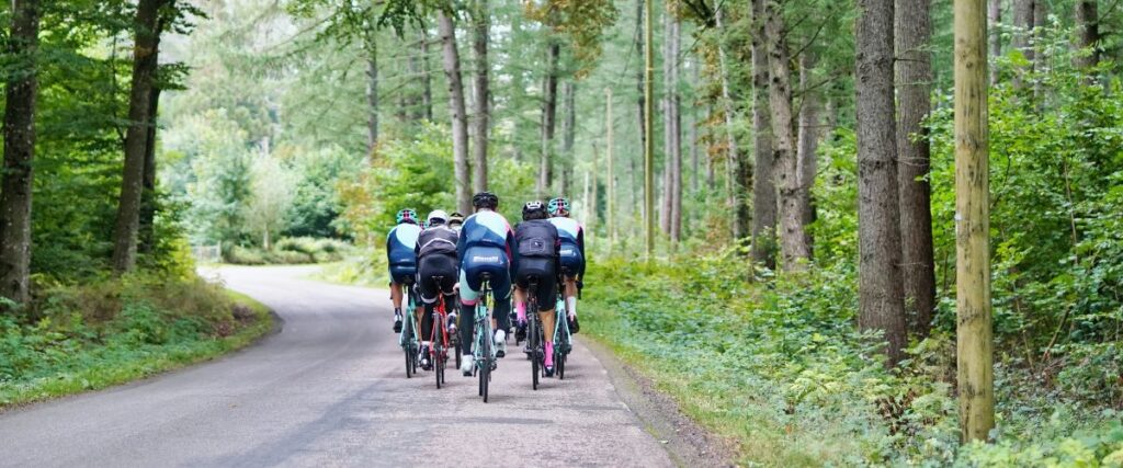A group of cyclists ride together through the woods.